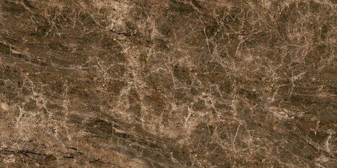 Плитка керамічна Stevol Emperador brown AK48P205P фото