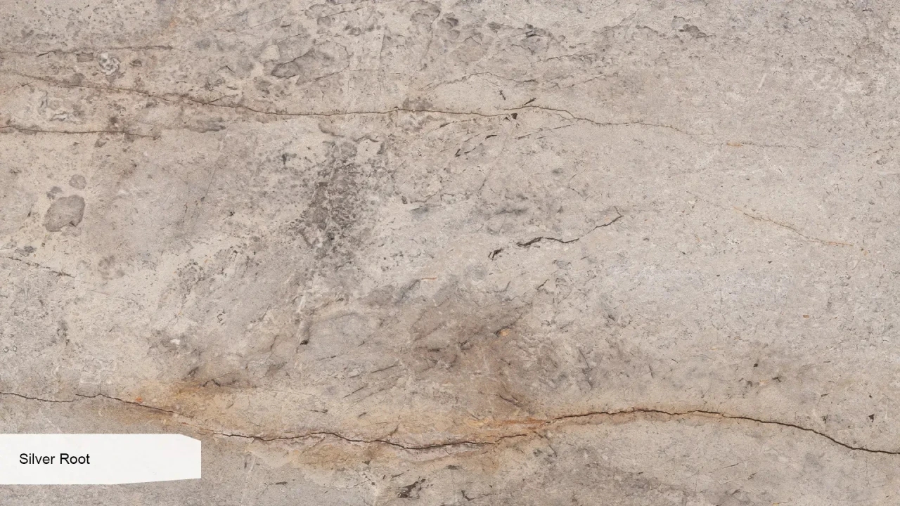 Scalla Naturale Silver Root