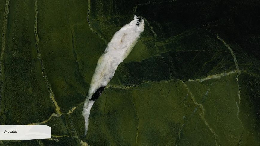 Кварцит Scalla Naturale Avocatus, 1900 &times; 2900 &times; 20 мм, шкіра SN-39E02FAC-01 фото