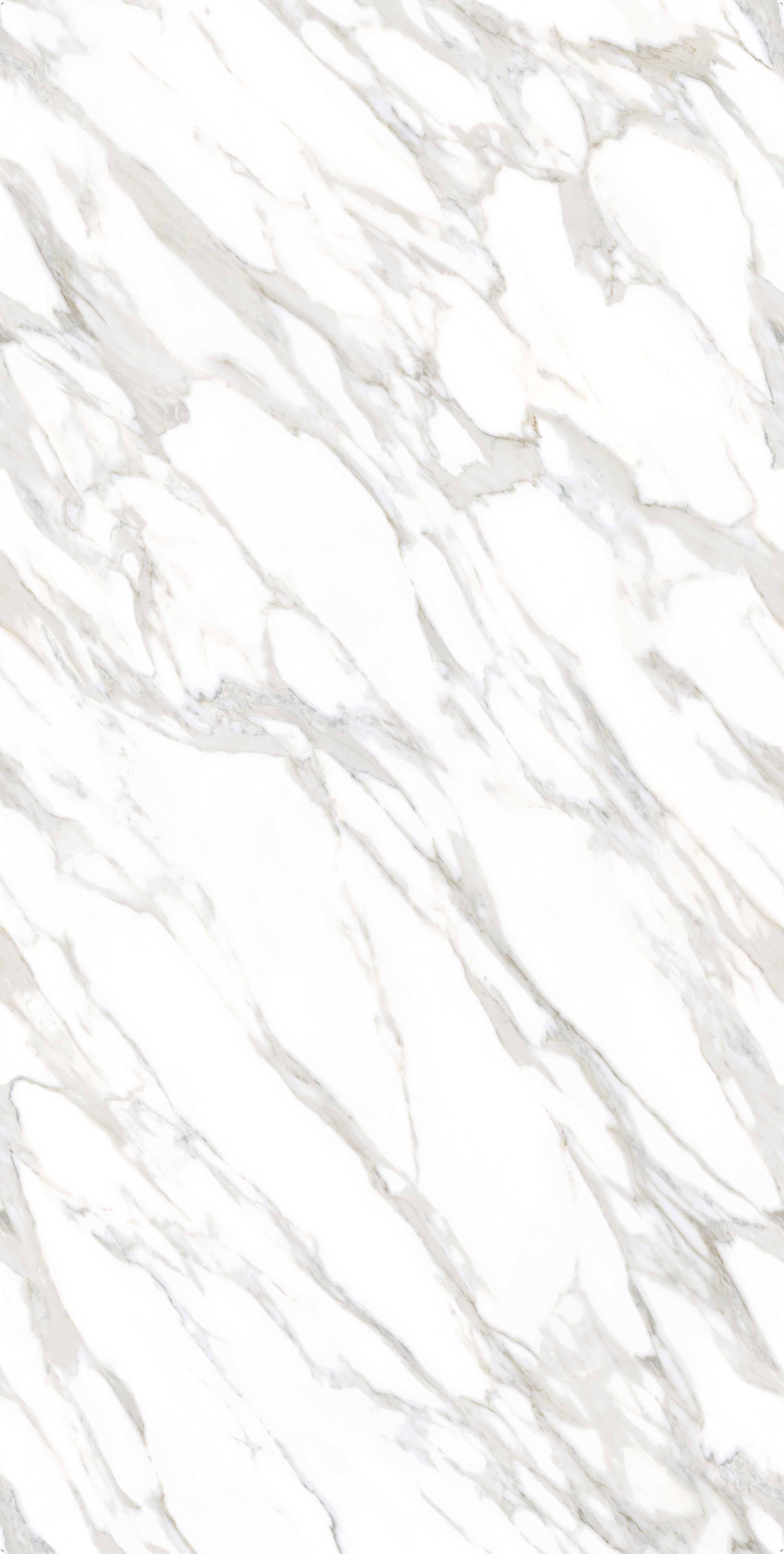 Ascale Ducal Gold
