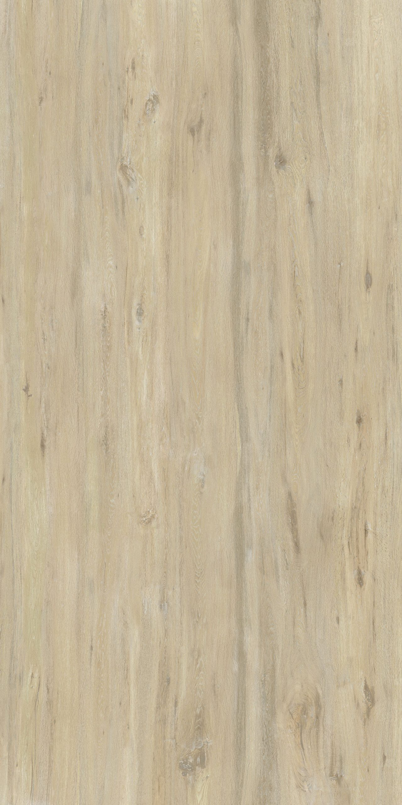 Ascale BOREAL SAND