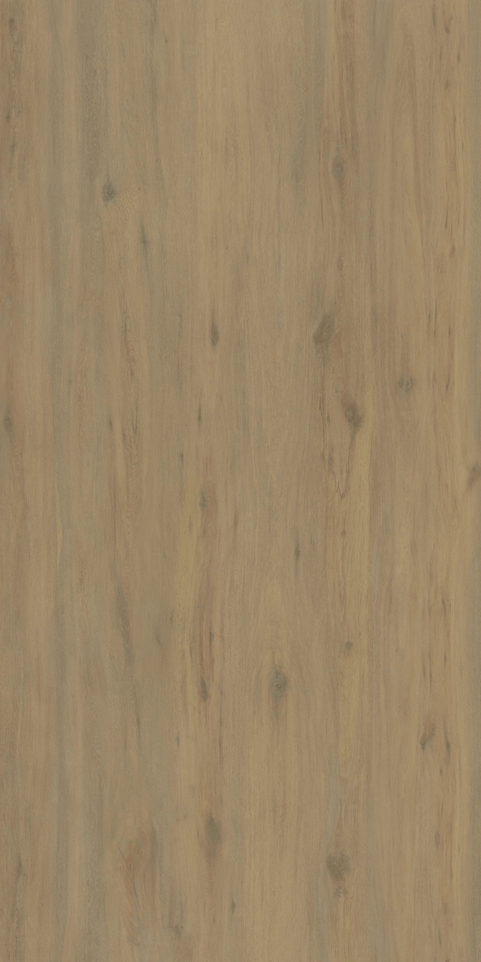 Ascale Boreal Sand