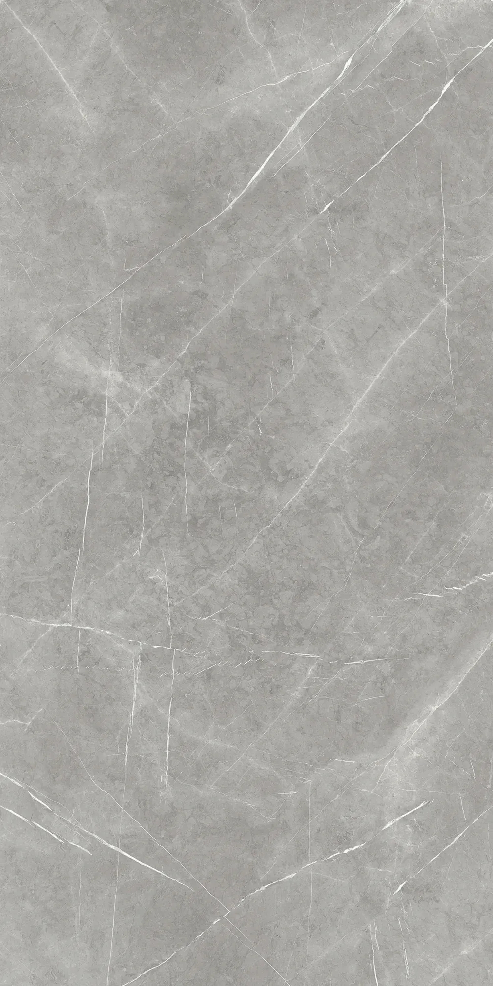Ascale Armani Silver