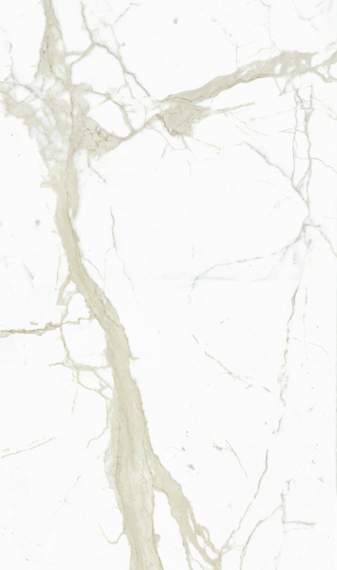 SapienStone White Calacatta book-match