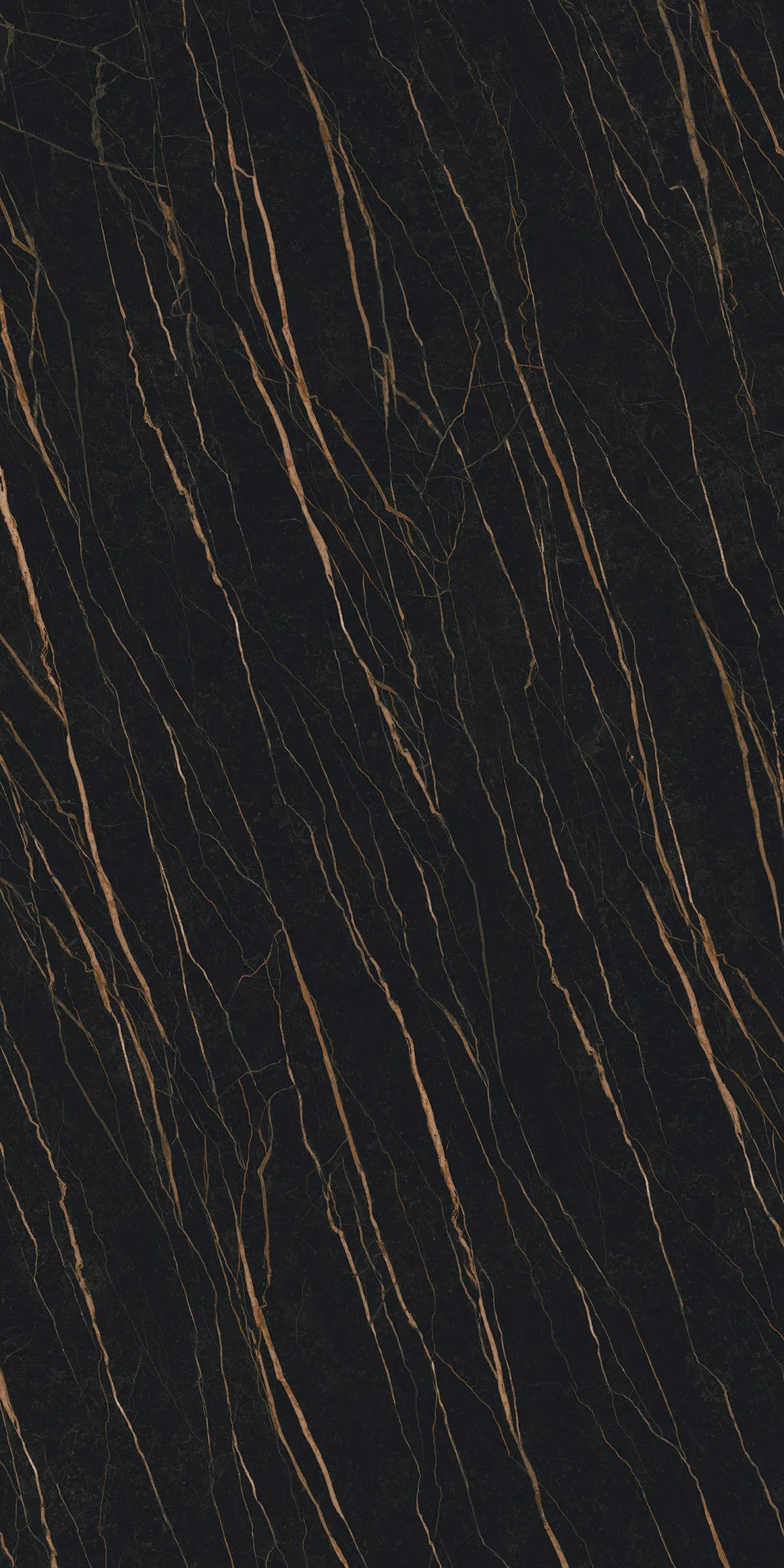 Ascale Laurent Black