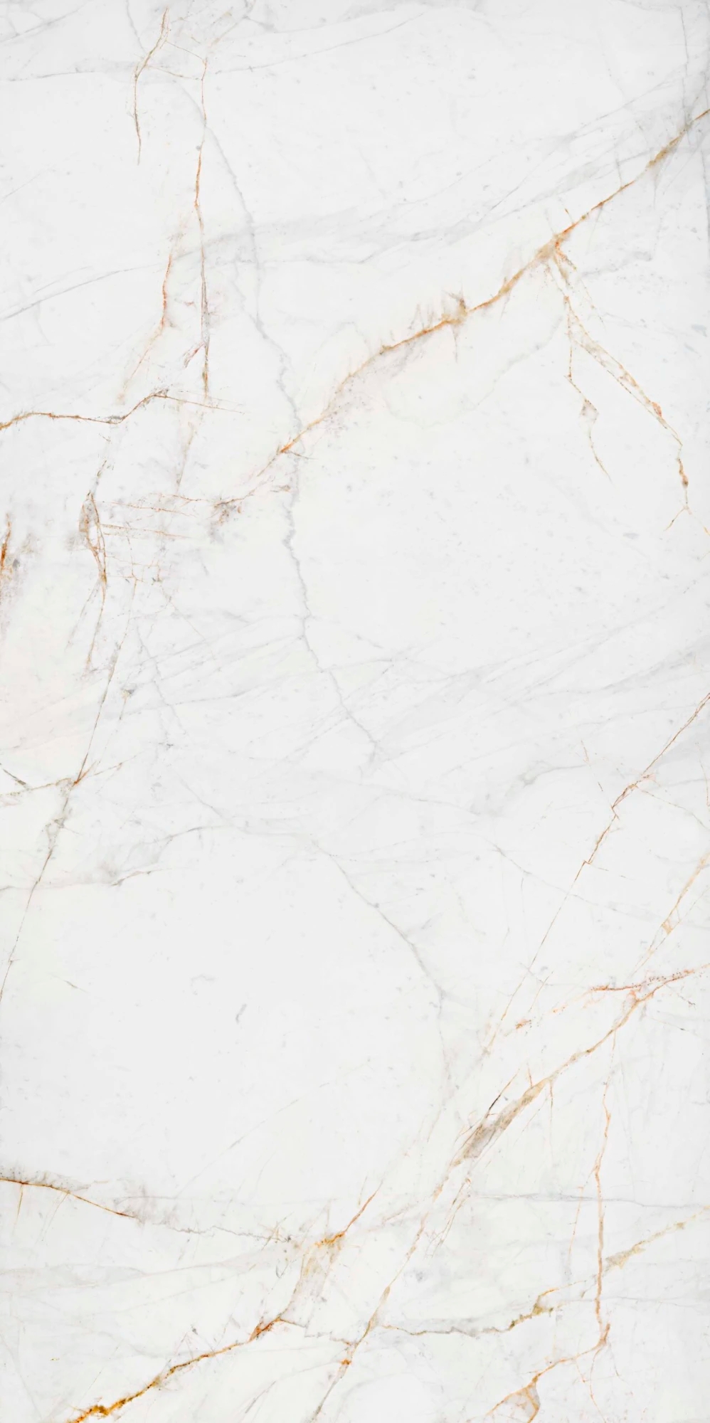 Ascale Lucca Gold